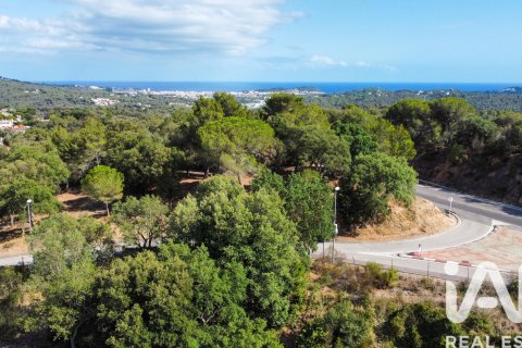 Land zum Verkauf in Lloret de Mar, Girona, Spanien 1169 m2 Nr. 185340 - Foto 7