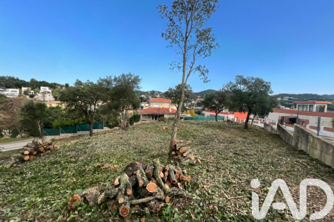 Land plot in Lloret de Mar, Girona, Spain 1169 sq.m. No. 185340