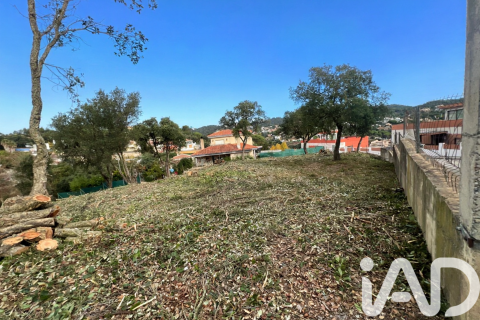 Land zum Verkauf in Lloret de Mar, Girona, Spanien 1169 m2 Nr. 185340 - Foto 3