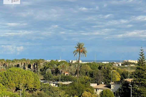 Commercial property for sale Gandia, Valencia, Spain 23 bedrooms, 4148 sq.m. No. 116603 - photo 12