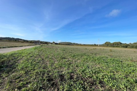 Parcela en venta en Muro, Mallorca, España 15588 m2 No. 146299 - foto 2