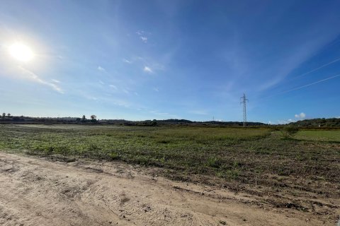 Parcela en venta en Muro, Mallorca, España 15588 m2 No. 146299 - foto 3