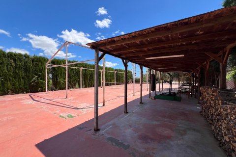 Finca for sale in Dolores, Alicante, Spain 4 bedrooms, 200 sq.m. No. 189618 - photo 30