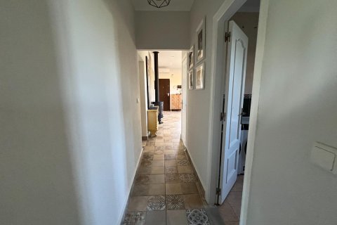 Finca for sale in Dolores, Alicante, Spain 4 bedrooms, 200 sq.m. No. 189618 - photo 16