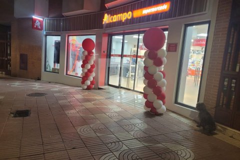 Veikals Spānijā 1344 m2 Nr. 154869