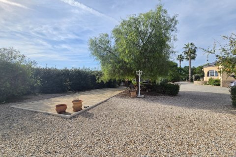 Finka w Dolores, Alicante, Hiszpania 3 sypialnie, 125 mkw. nr 140495 – zdjęcie 6