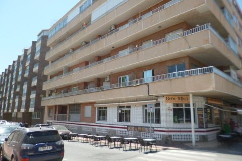 Apartment in Villamartin, Alicante, Spain 4 bedrooms, No. 189919
