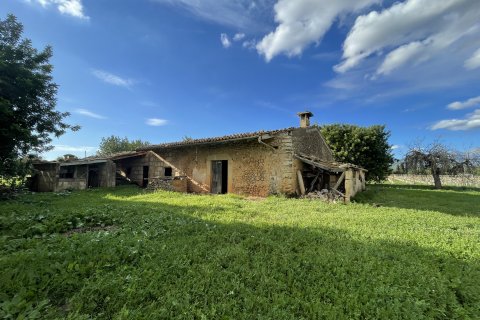 Land plot for sale in Inca, Mallorca, Spain 3 bedrooms, 120000 sq.m. No. 138213 - photo 8