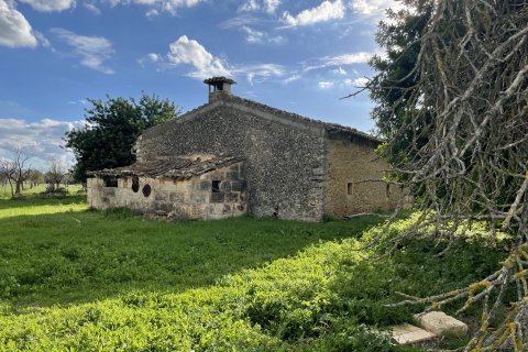 Land plot for sale in Inca, Mallorca, Spain 3 bedrooms, 120000 sq.m. No. 138213 - photo 9