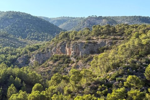 Villa for rent Cas Catala, Mallorca, Spain 5 bedrooms, 484 sq.m. No. 138215 - photo 19