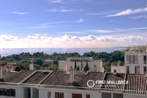 Apartment for sale in Palma de Majorca, Mallorca, Spain 2 bedrooms, 127 sq.m. No. 195395 - photo 4