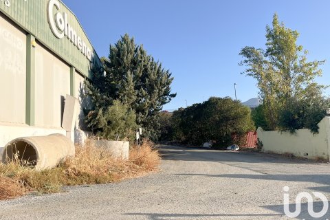 Liikekiinteistö vuokrattavana Casabermeja, Malaga, Espanja , 3100 m2 No. 154306 - kuva 6