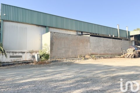 Liikekiinteistö vuokrattavana Casabermeja, Malaga, Espanja , 3100 m2 No. 154306 - kuva 12