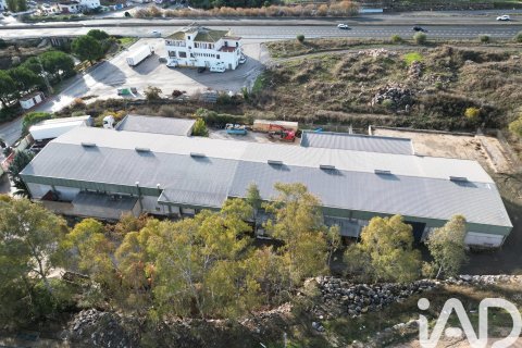 Liikekiinteistö vuokrattavana Casabermeja, Malaga, Espanja , 3100 m2 No. 154306 - kuva 28