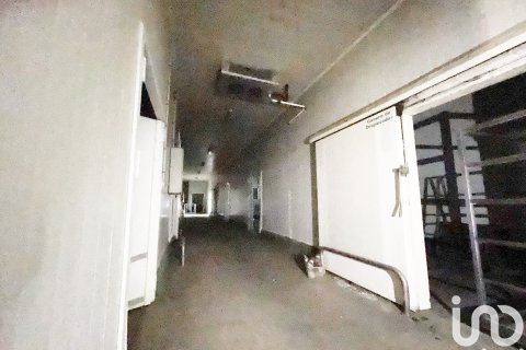 Liikekiinteistö vuokrattavana Casabermeja, Malaga, Espanja , 3100 m2 No. 154306 - kuva 24