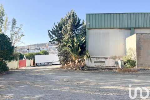 Liikekiinteistö vuokrattavana Casabermeja, Malaga, Espanja , 3100 m2 No. 154306 - kuva 11