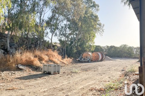 Liikekiinteistö vuokrattavana Casabermeja, Malaga, Espanja , 3100 m2 No. 154306 - kuva 10