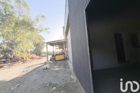 Liikekiinteistö vuokrattavana Casabermeja, Malaga, Espanja , 3100 m2 No. 154306 - kuva 9