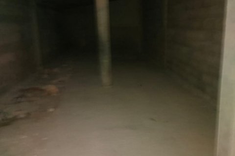 Tontti vuokrattavana Campos, Mallorca, Espanja , 39458 m2 No. 154309 - kuva 7