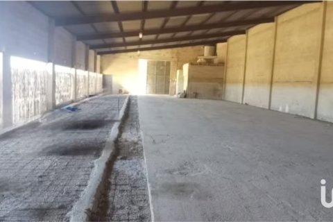 Tontti vuokrattavana Campos, Mallorca, Espanja , 39458 m2 No. 154309 - kuva 3