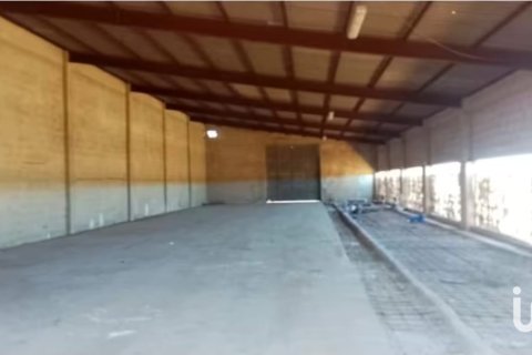 Tontti vuokrattavana Campos, Mallorca, Espanja , 39458 m2 No. 154309 - kuva 9