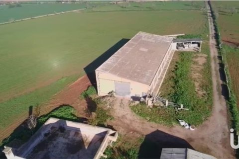 Tomt i Campos, Mallorca, Spanien 39458 kvm. Nr. 154309