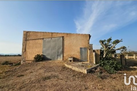 Tontti vuokrattavana Campos, Mallorca, Espanja , 39458 m2 No. 154309 - kuva 6