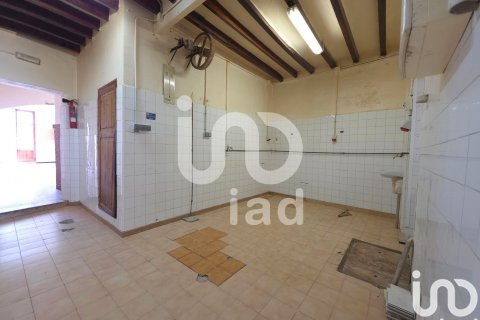 Аренда коммерческой недвижимости в Кампане, Майорка, Испания 134м2 №154307 - фото 19