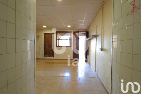 Аренда коммерческой недвижимости в Кампане, Майорка, Испания 134м2 №154307 - фото 23