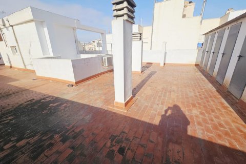 Apartment for sale in Torrevieja, Alicante, Spain 3 bedrooms,  No. 149456 - photo 24