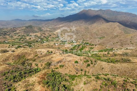 Tomt till salu i Mijas, Malaga, Spanien 43889 kvm. Nr. 157441 - foto 19