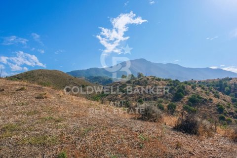 Tomt till salu i Mijas, Malaga, Spanien 43889 kvm. Nr. 157441 - foto 5