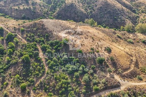 Tomt till salu i Mijas, Malaga, Spanien 43889 kvm. Nr. 157441 - foto 15