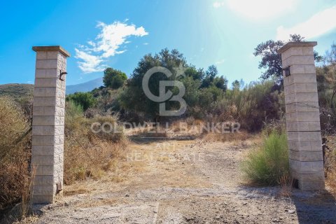 Tontti Mijas, Malaga, Espanja 43889 m2 No. 157441