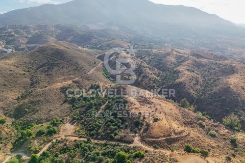 Tomt till salu i Mijas, Malaga, Spanien 43889 kvm. Nr. 157441 - foto 20