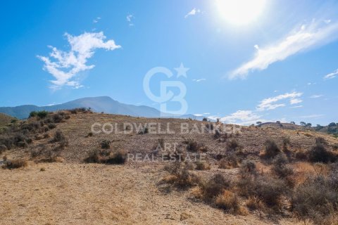Tomt till salu i Mijas, Malaga, Spanien 43889 kvm. Nr. 157441 - foto 6