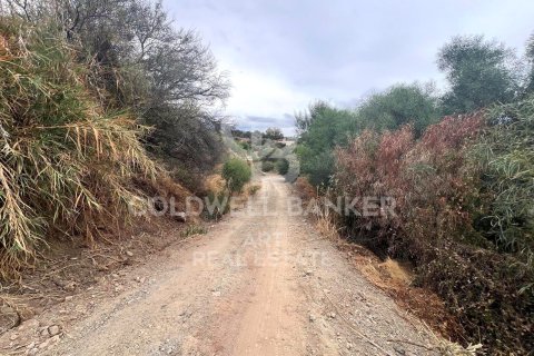 Tontti myytävänä Benahavis, Malaga, Espanja , 504 m2 No. 157436 - kuva 2