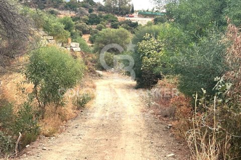 Tontti myytävänä Benahavis, Malaga, Espanja , 504 m2 No. 157436 - kuva 4