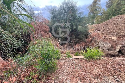 Tontti myytävänä Benahavis, Malaga, Espanja , 504 m2 No. 157436 - kuva 5