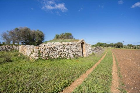 Land plot for sale Ciutadella De Menorca, Menorca, Spain No. 110944 - photo 8