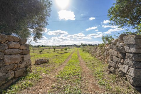 Tomt till salu Ciutadella De Menorca, Menorca, Spanien Nr. 110944 - foto 10