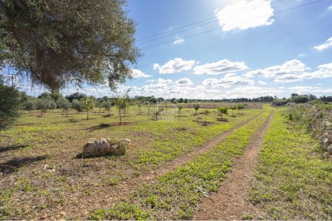 Land plot for sale Ciutadella De Menorca, Menorca, Spain No. 110944 - photo 13