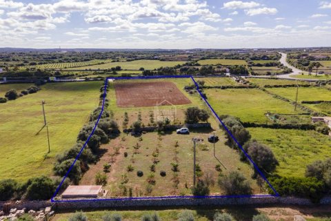 Land plot for sale Ciutadella De Menorca, Menorca, Spain No. 110944 - photo 4
