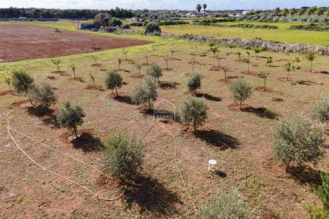 Land plot for sale Ciutadella De Menorca, Menorca, Spain No. 110944 - photo 6