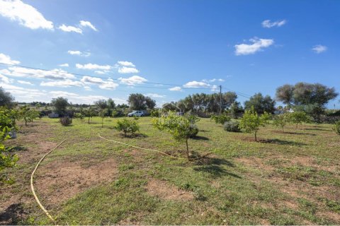 Tomt till salu Ciutadella De Menorca, Menorca, Spanien Nr. 110944 - foto 11