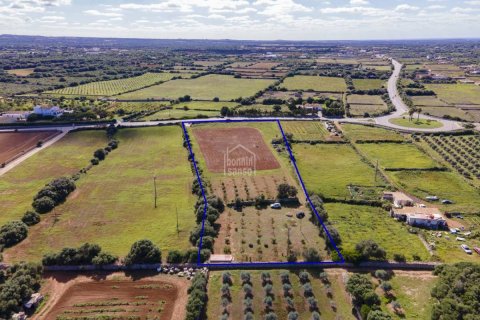 Land plot for sale Ciutadella De Menorca, Menorca, Spain No. 110944 - photo 5