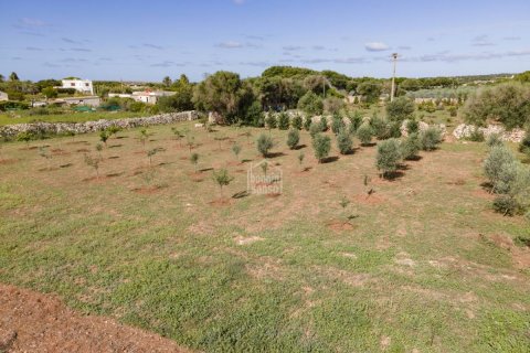 Land plot for sale Ciutadella De Menorca, Menorca, Spain No. 110944 - photo 7