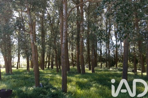 Land plot à vendre à Leon, Espagne, 9805 m2 No. 185308 - photo 7