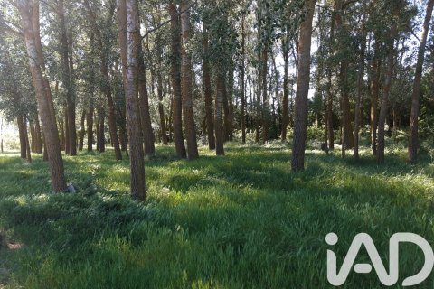 Land plot à vendre à Leon, Espagne, 9805 m2 No. 185308 - photo 8