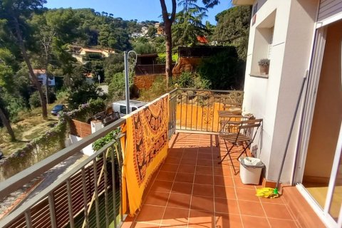 Продажа дома в Аргентона, Барселона, Испания 4 спальни, 224м2 №154098 - фото 21